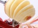 Яблокочистка Apple Peeler Corer Slicer